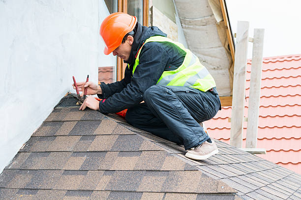 Best Roof Gutter Cleaning  in Union, KY